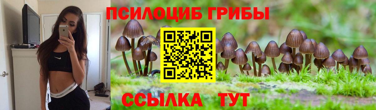 Галлюциногенные грибы MAGIC MUSHROOMS Дербент